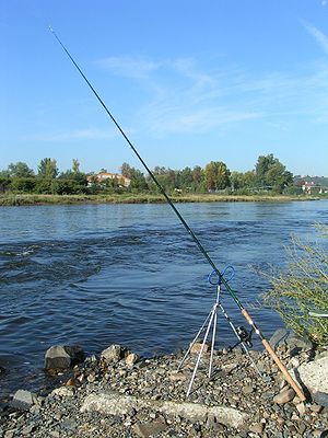 Fishing with a feeder rod Česky: Postavení fee...