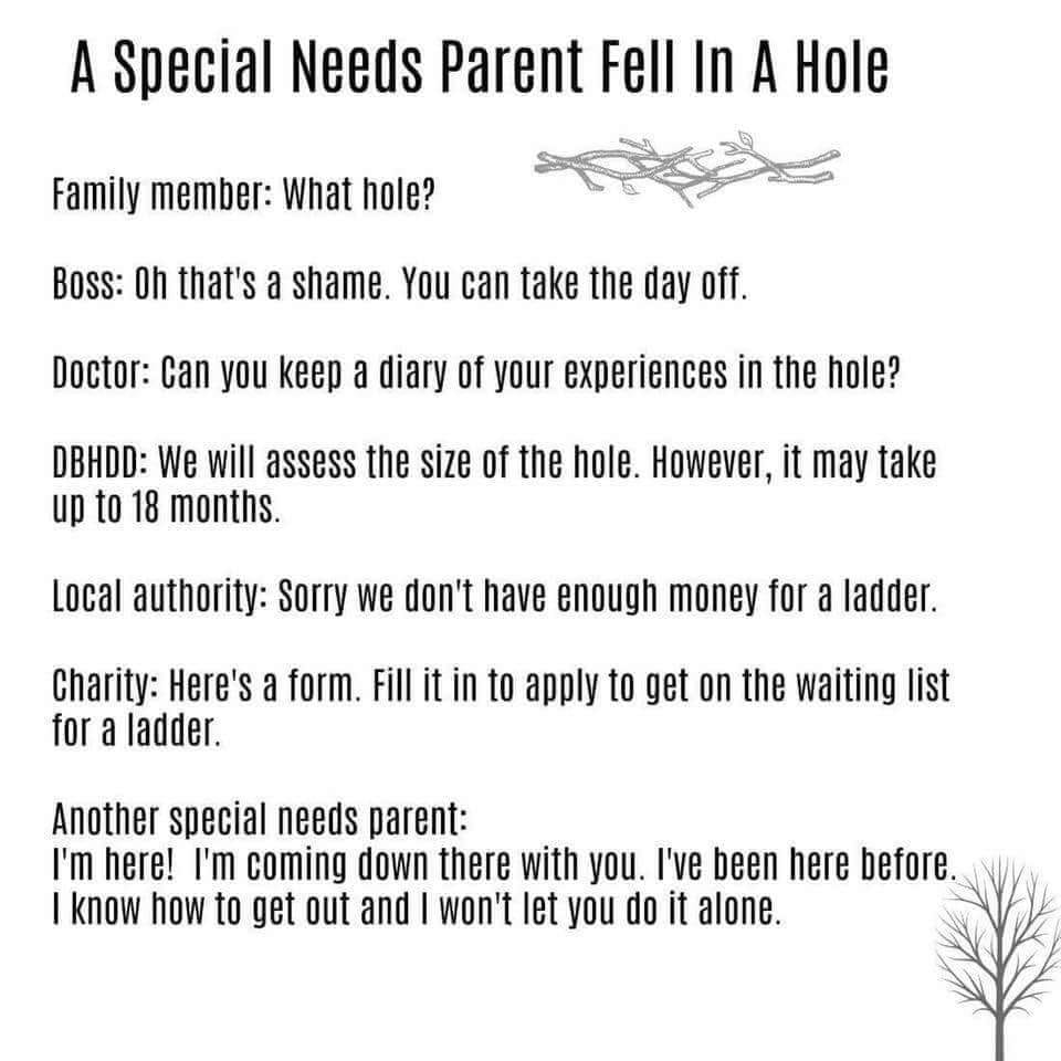 Special Needs Parent fell in a hole:  text copy of image is included in post